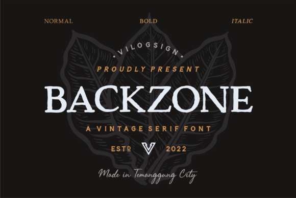 Backzone: A Vintage Serif Font That Elevates Digital Branding