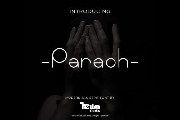 Paraoh: A Modern Sans Serif Font That Elevates Real Small Business Branding