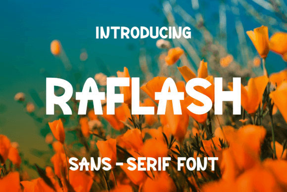 Raflash: A Modern Sans Serif Font for Campaign Clarity